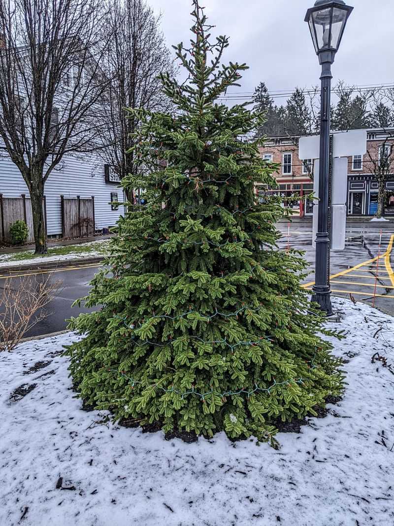 Seasonal Events That Add Extra Family Appeal