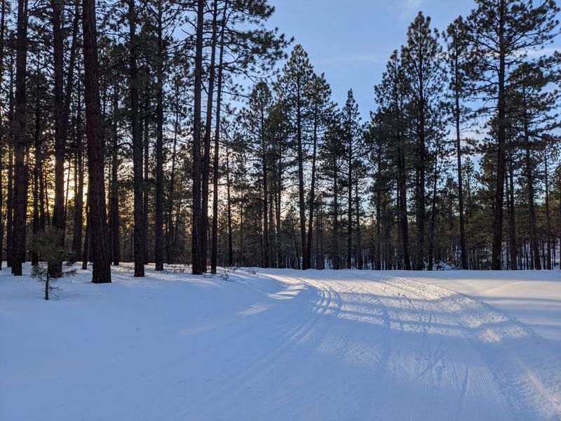 Snowshoeing Adventures