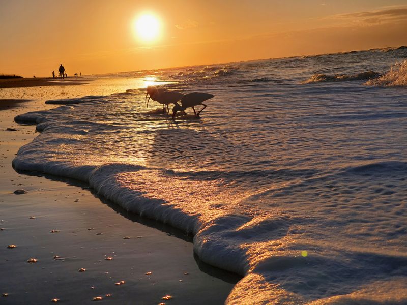 The Peaceful Beauty of Sanibel Island