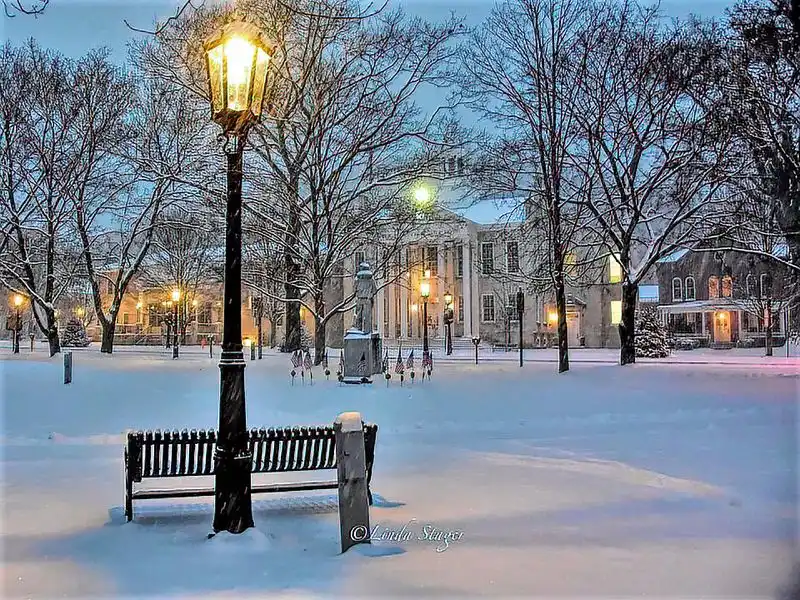 Tioga County Courthouse Tree and Greens