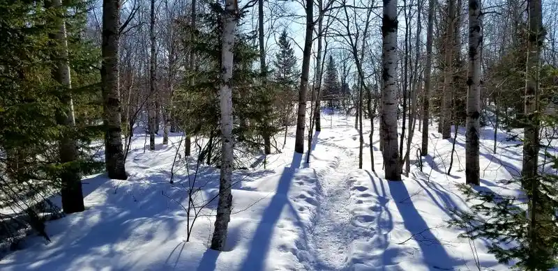 Miners Memorial Heritage Park