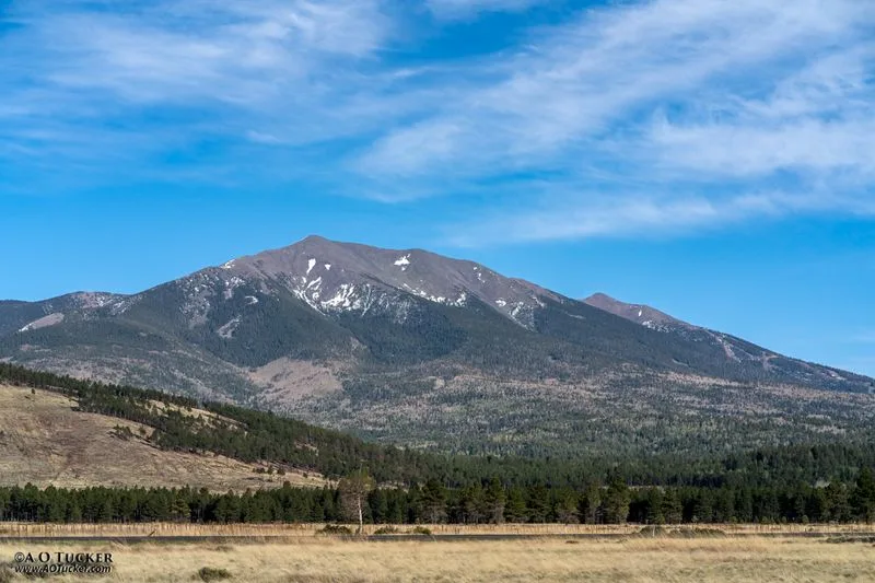 Flagstaff rim and forest transition