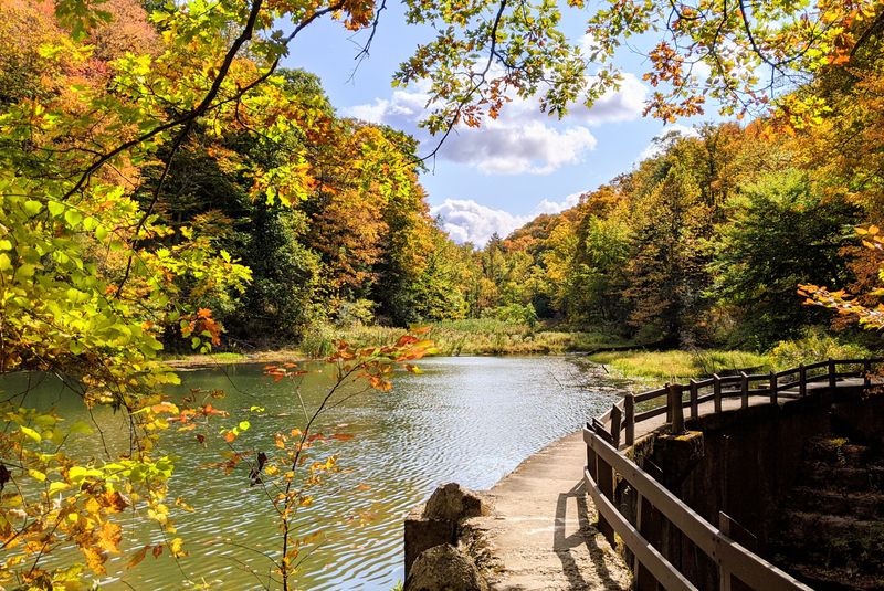 The Whispering Pines Trail