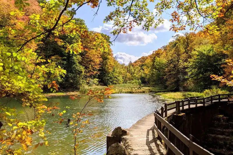 The Whispering Pines Trail