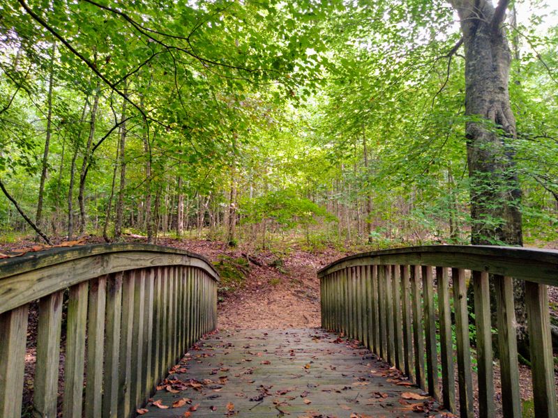 Artistic Outdoor Theater