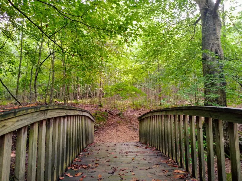 Artistic Outdoor Theater