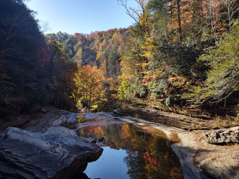 Collins Gulf Wildflower Wander