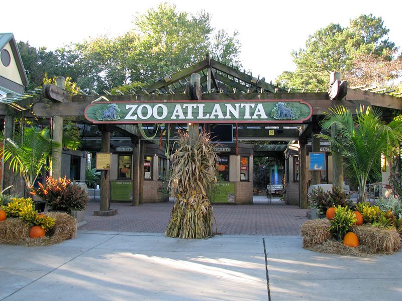 Wild Holiday Fun at Zoo Atlanta