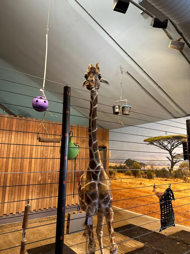 Como Park Zoo and Conservatory Holiday Flower Show