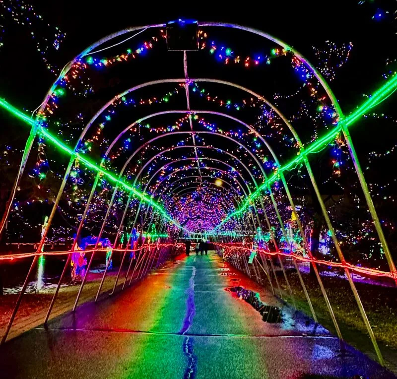 Bentleyville Tour of Lights in Duluth day trip