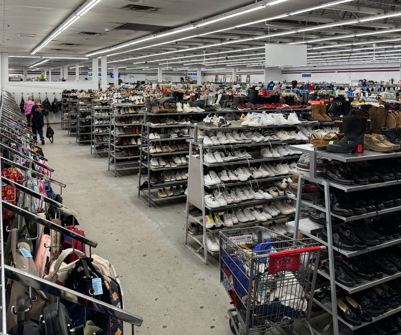 Books, media, and hidden collectibles