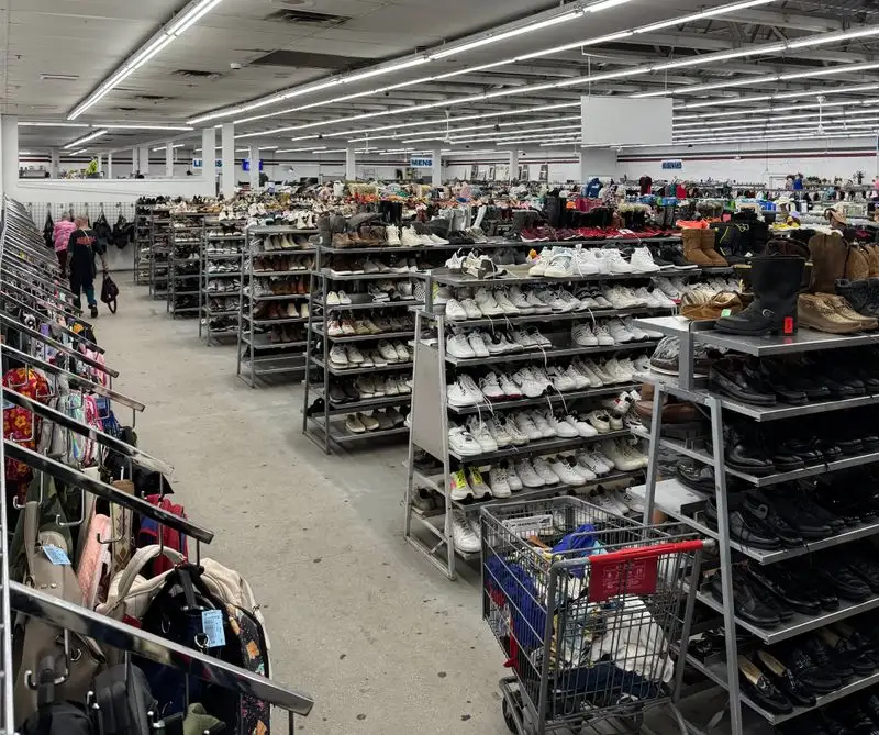 Books, media, and hidden collectibles