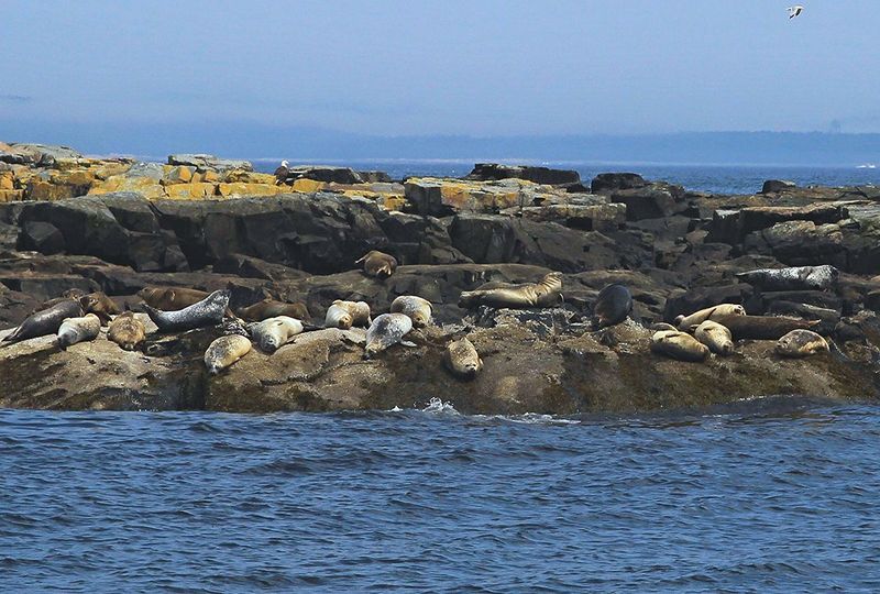Bar Harbor, Maine