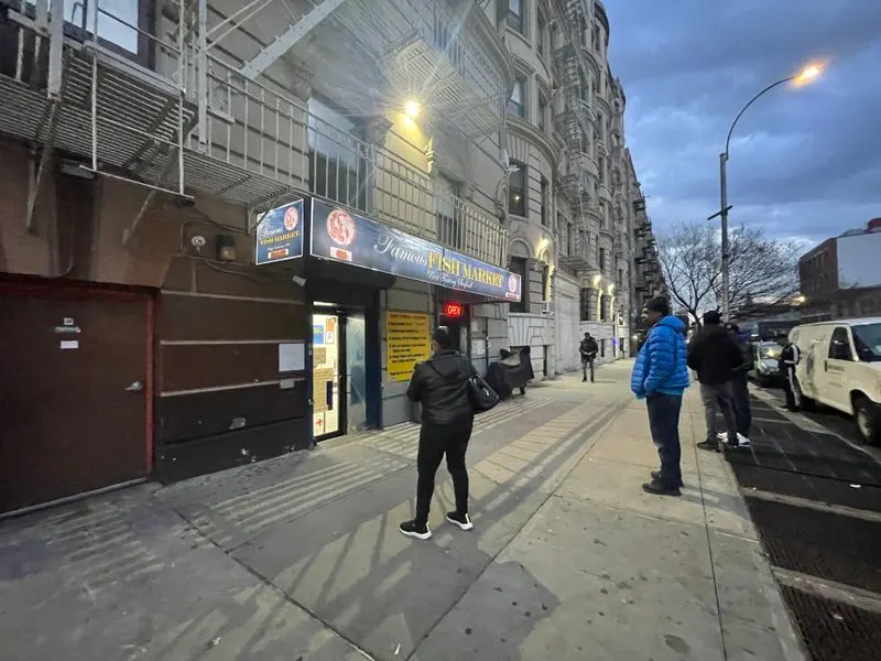 Best times to go and hours to remember