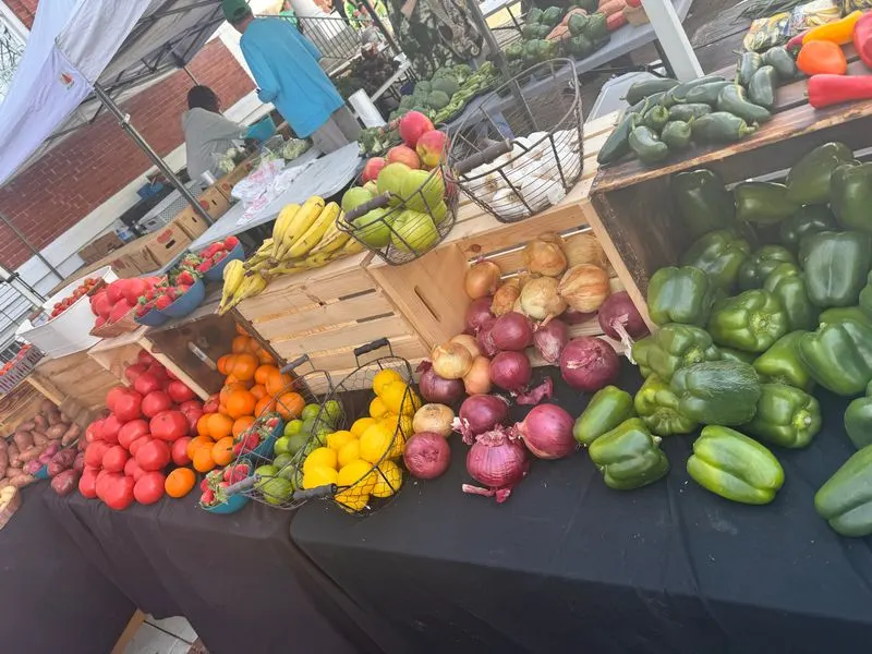 Fresh Produce Bounty