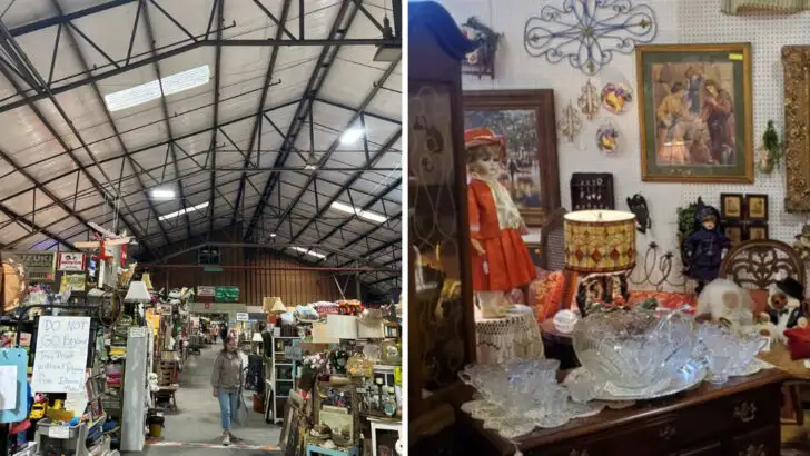 In Mississippi, a big weekend flea market brings together antiques, oddities, and plenty of surprises