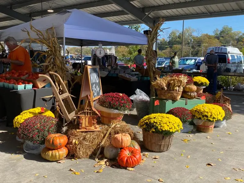 Sunlit Aisles And First Finds