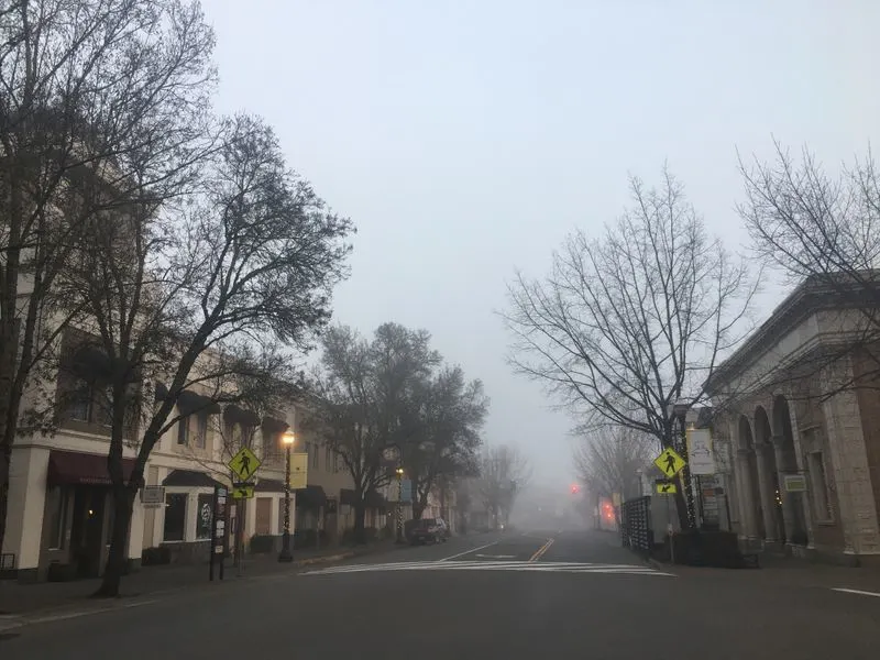 Small Lot Tasting Ramble on the Plaza