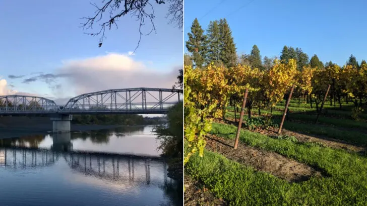 In the rolling wine country north of Sonoma is a small community with tasting rooms, winter markets, and a soft off-season pace