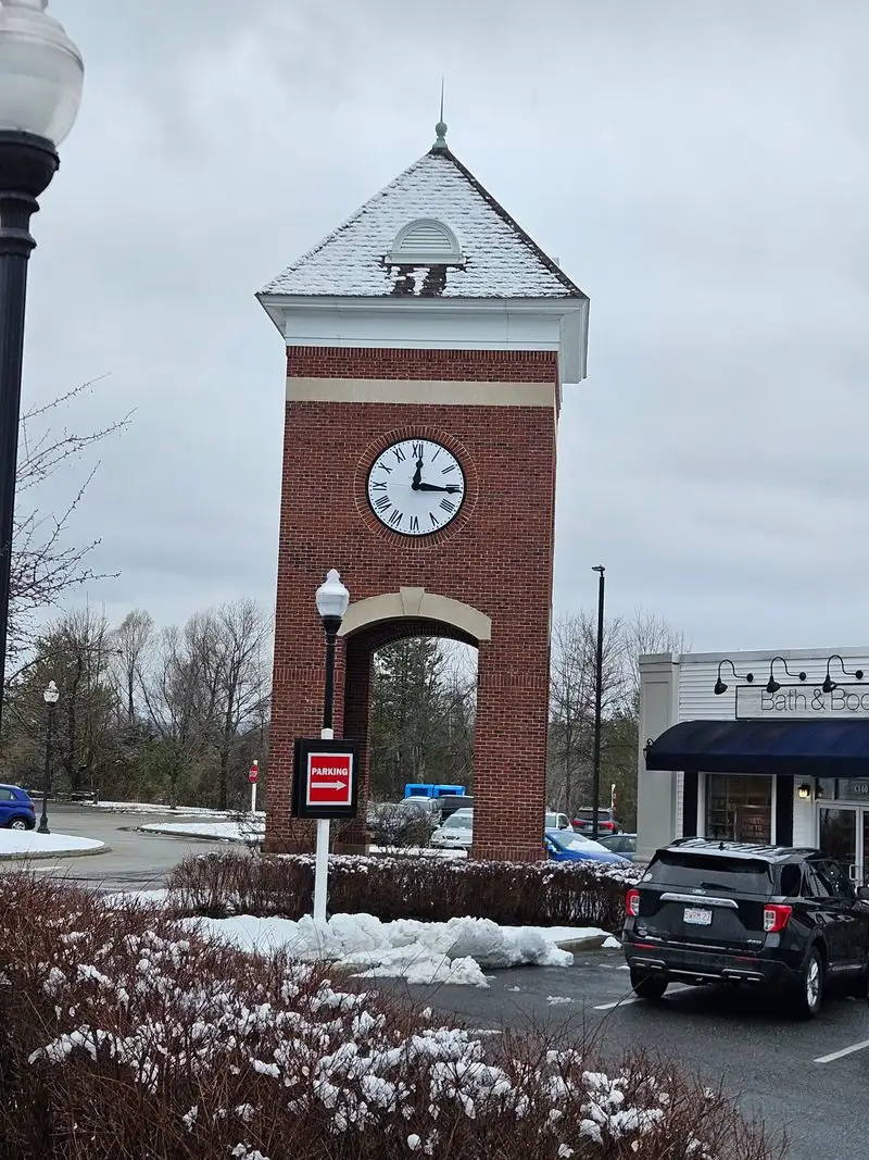 Local Art Exhibitions