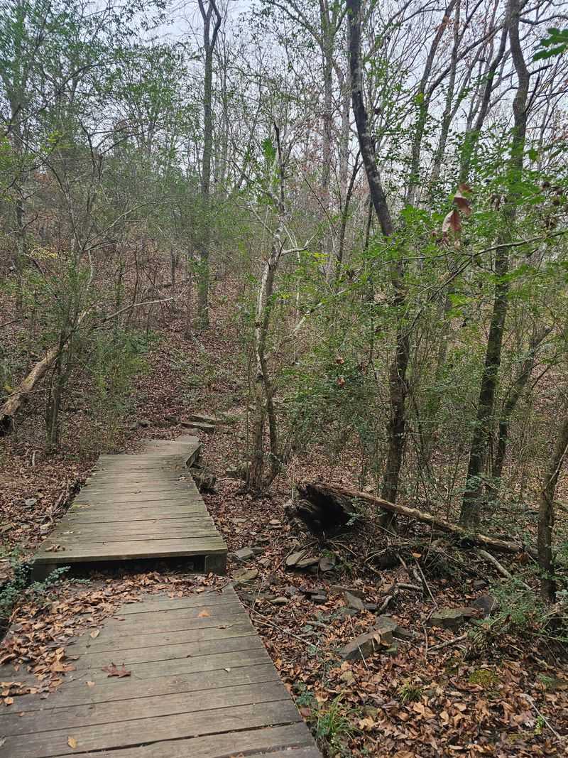 Where Is Woolly Hollow State Park?