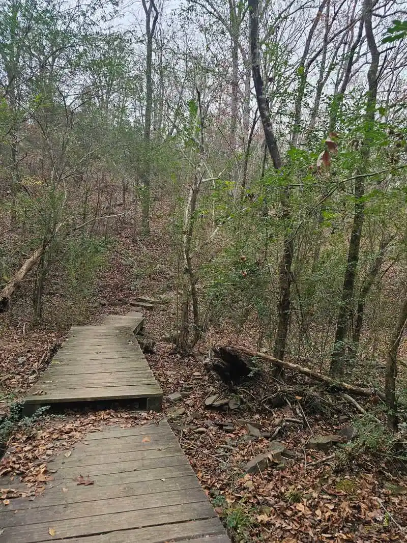 Where Is Woolly Hollow State Park?