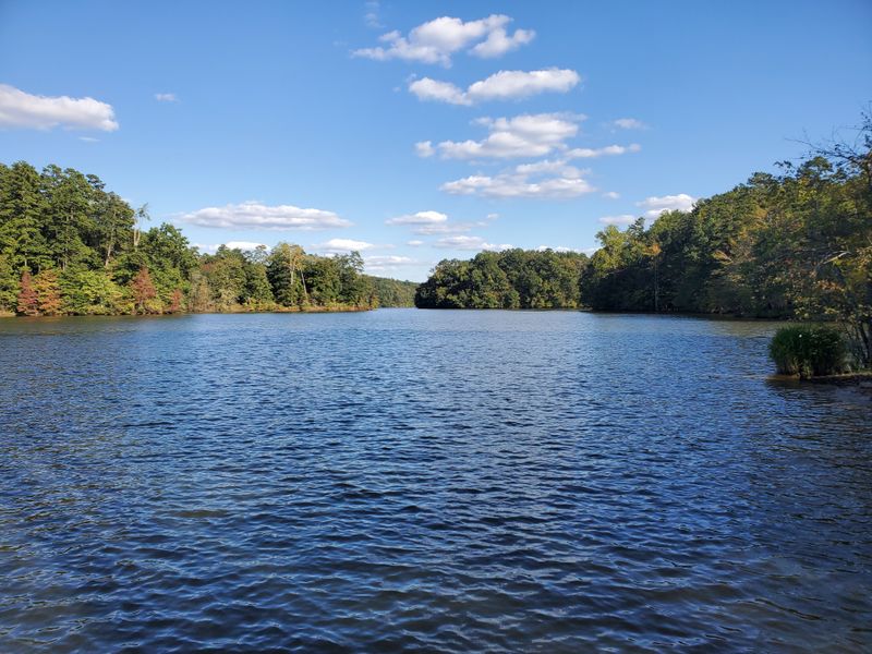 Scenic Lake Lanier Views