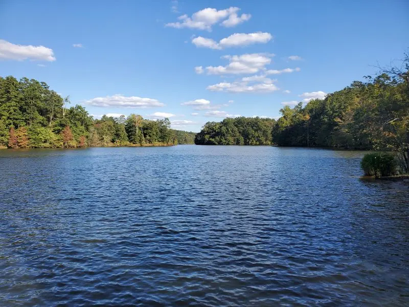 Scenic Lake Lanier Views