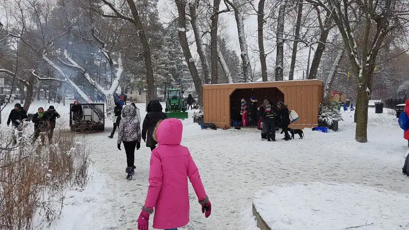 Local Festive Displays