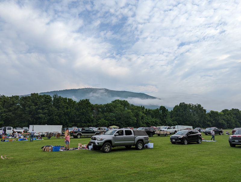 Buchanan Flea Market (Buchanan)