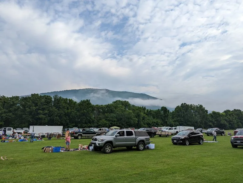 Buchanan Flea Market (Buchanan)