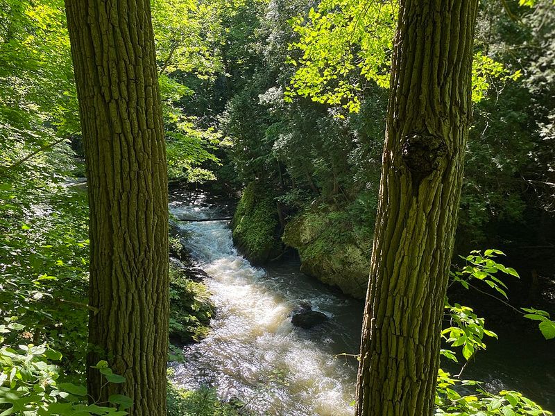 Clifton Gorge State Nature Preserve (nearby)