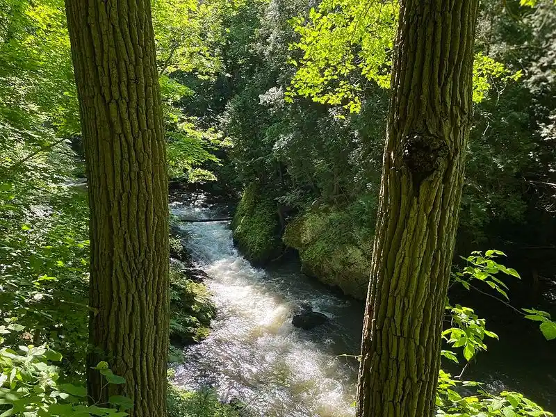 Clifton Gorge State Nature Preserve (nearby)