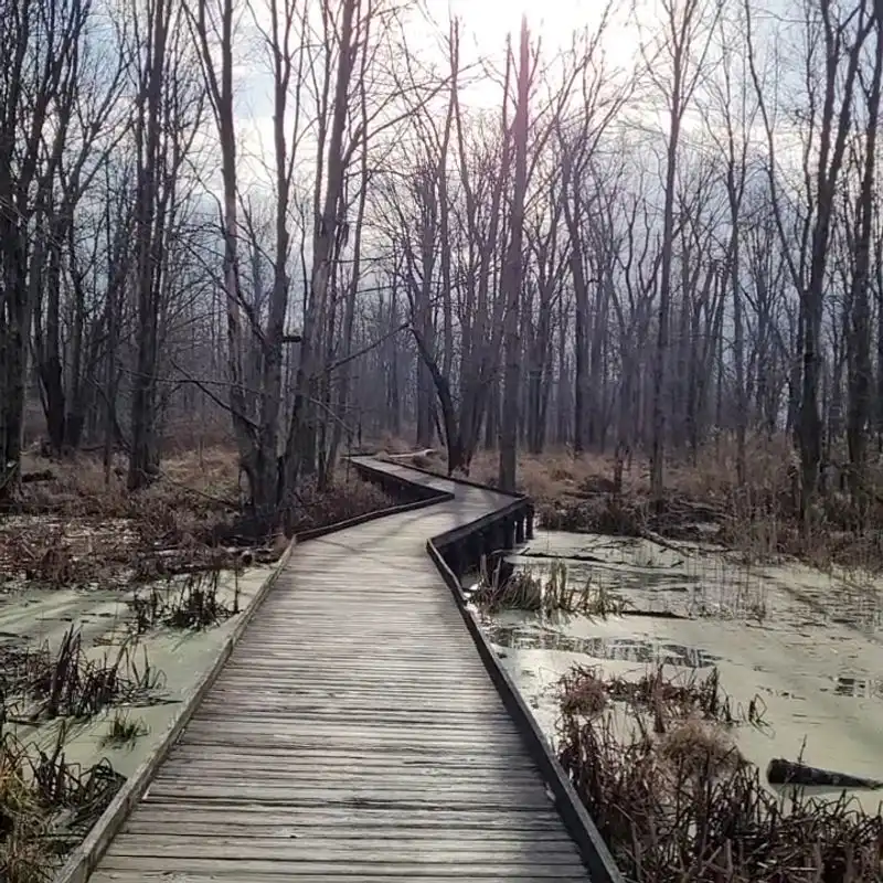 Maumee Bay State Park