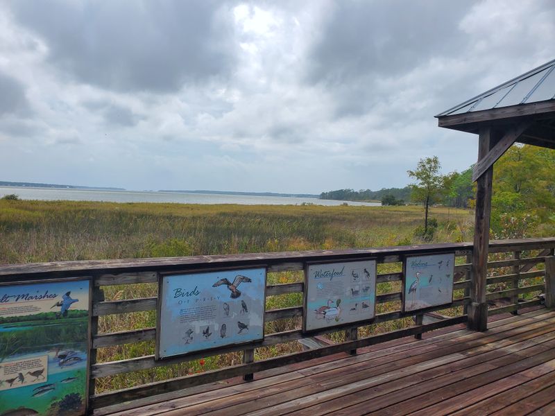 Weeks Bay Reserve
