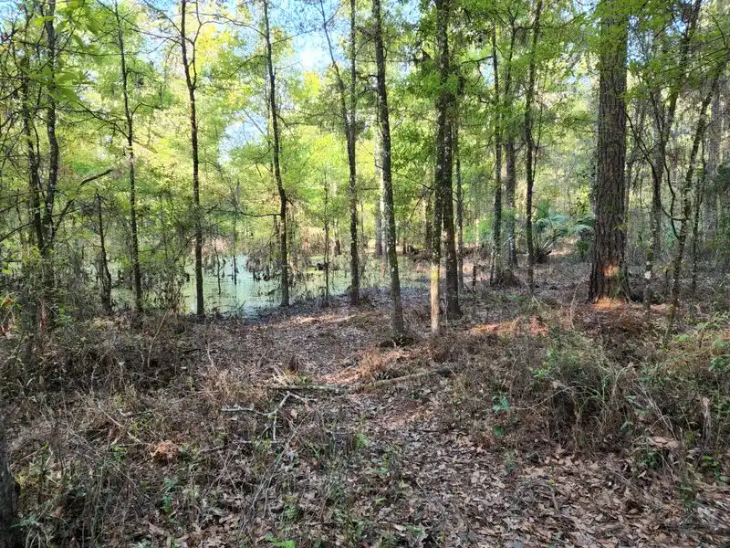 Navigating the Loop and Wayfinding