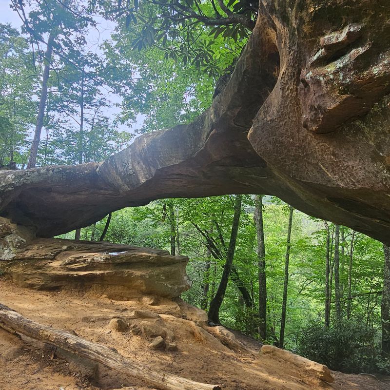Red River Gorge
