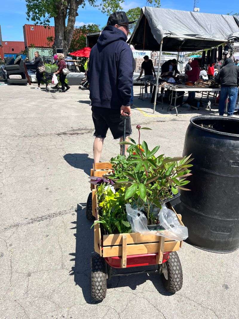 Haggle Like A Local