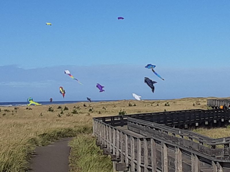 Boardwalk, Discovery Trail, and Sunset Strategy