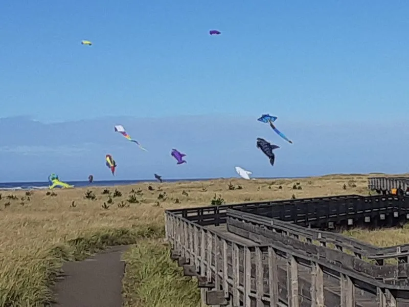 Boardwalk, Discovery Trail, and Sunset Strategy