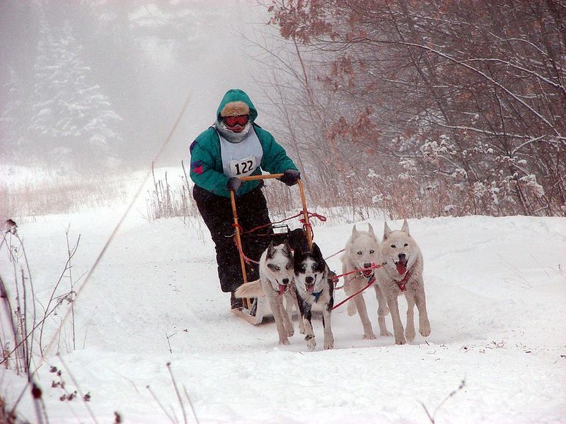 Apostle Islands Sled Dog Race