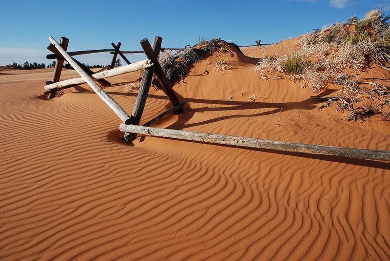 Coral Pink Sand Dunes State Park