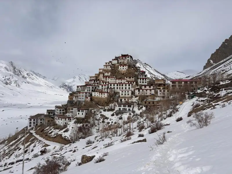 Kibber, Spiti Valley, India