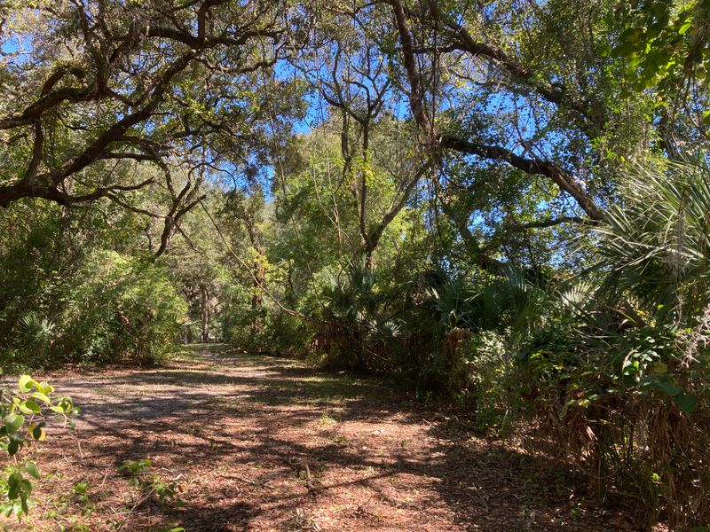 Yellow Bluff Fort Historic State Park – Jacksonville