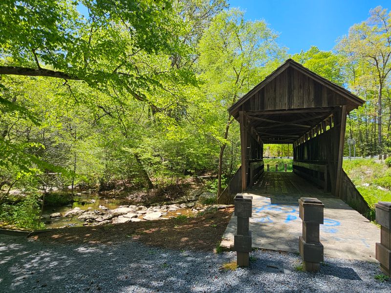 Uwharrie National Forest and Badin Lake