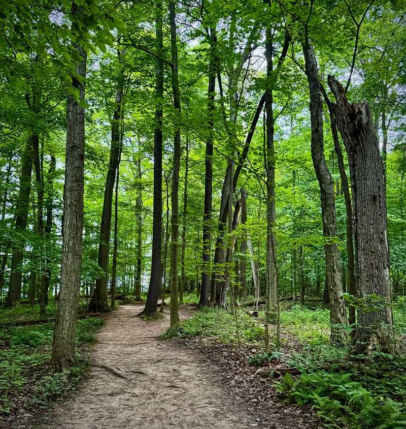 Seasonal Moods and Best Times