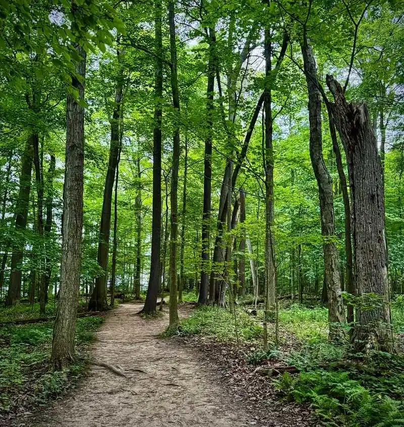 Seasonal Moods and Best Times