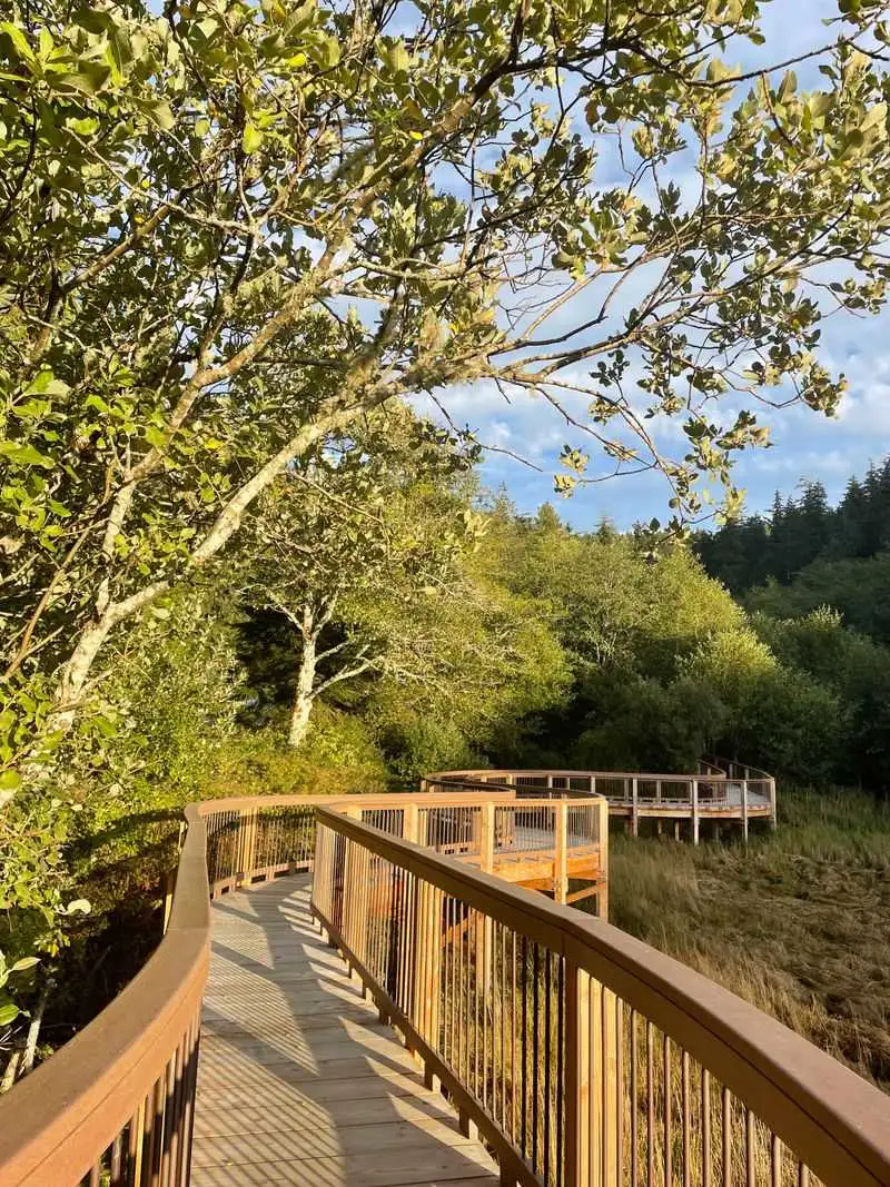 Willapa National Wildlife Refuge: Estuary Magic