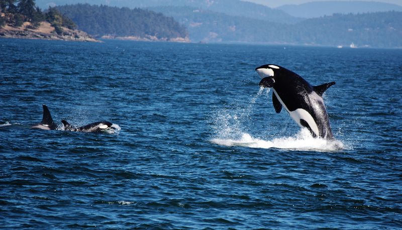 San Juan Islands
