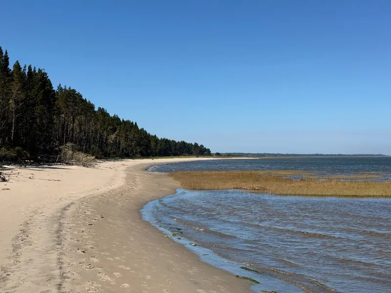 Leadbetter Point: Birding and Quiet Beaches